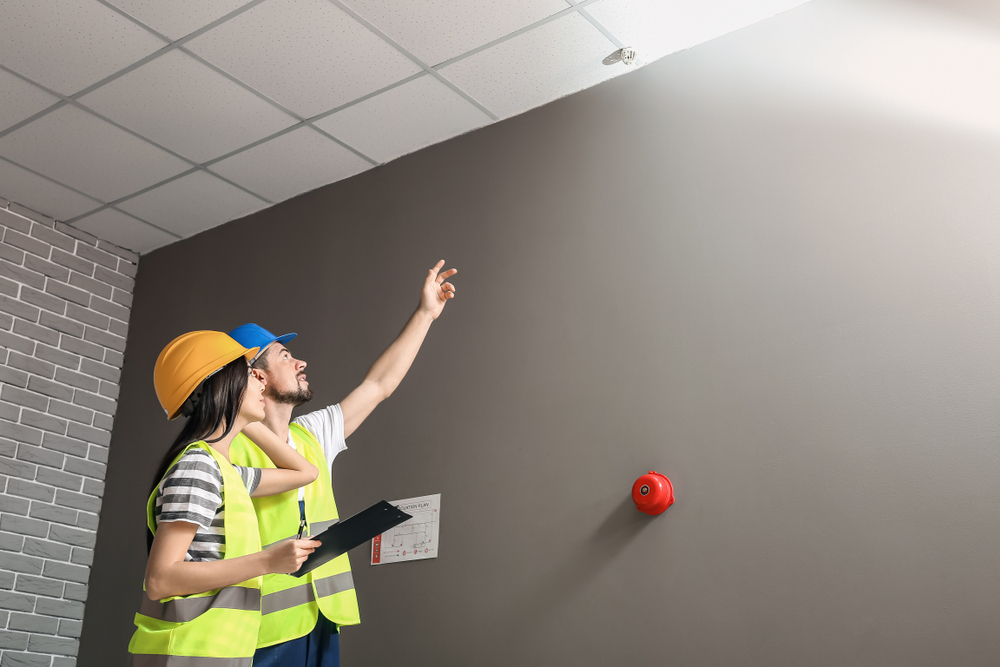 Renovlies voorbereiden in Spijkenisse voor een goede ondergrond en hechting van het behang.